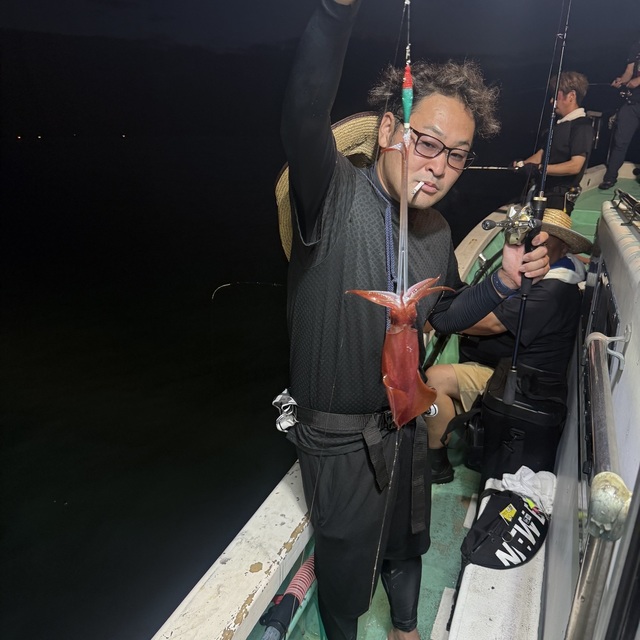 マルイカ(ケンサキイカ)