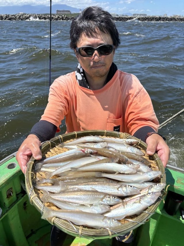 キス(シロギス)