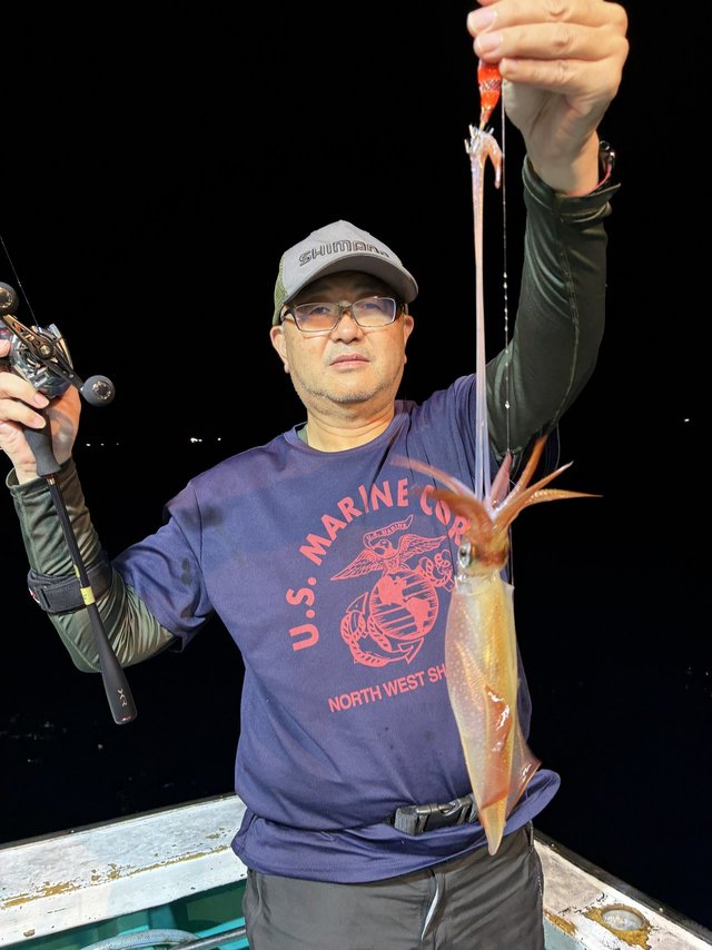 アカイカ(ケンサキイカ)