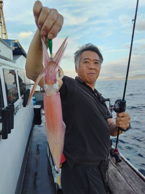 イカ(ヤリイカ)