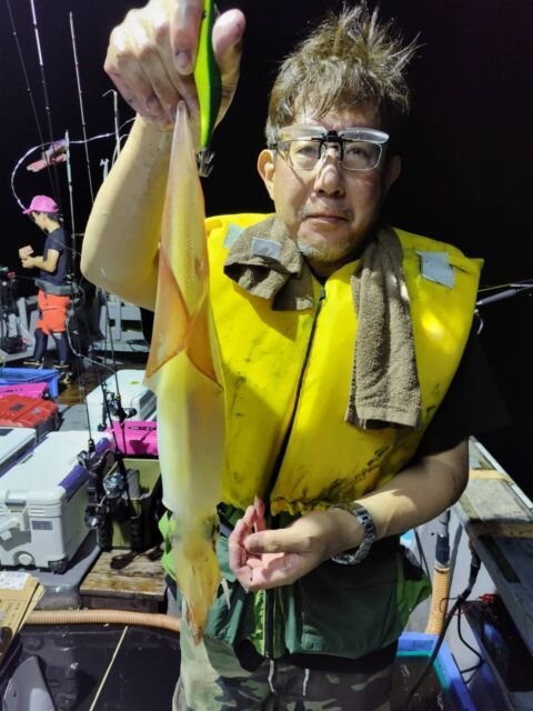 イカ(ヤリイカ)