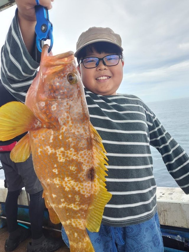 アコウ(キジハタ)