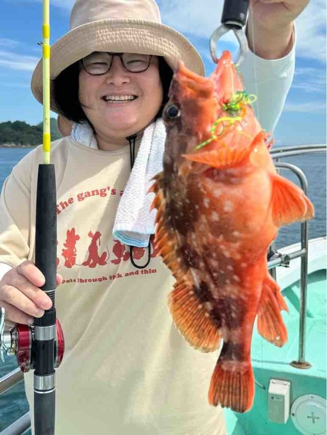 ウッカリカサゴ