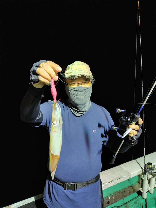 シロイカ(ケンサキイカ)