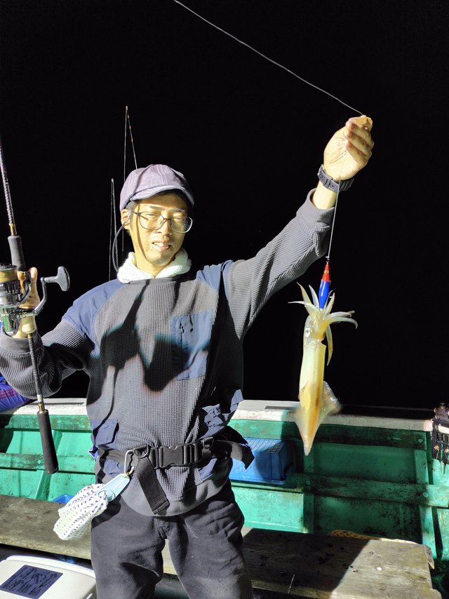 シロイカ(ケンサキイカ)