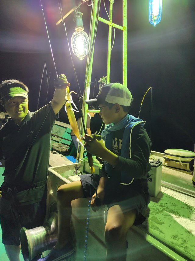 シロイカ(ケンサキイカ)