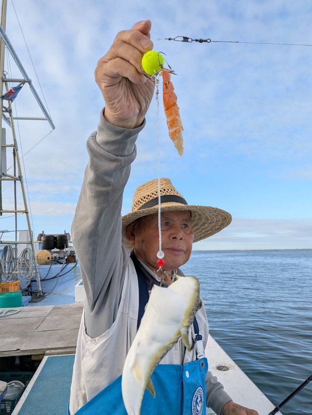 ショウサイフグ