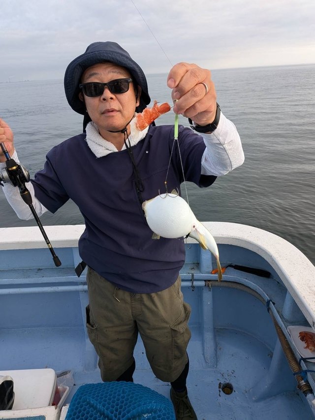 ショウサイフグ