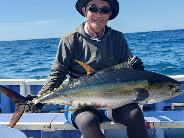 キハダマグロ(キハダ)