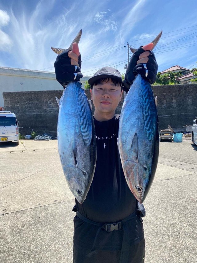 スマガツオ(スマ)