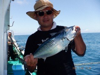 スマガツオ(スマ)