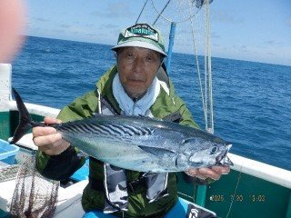 スマガツオ(スマ)