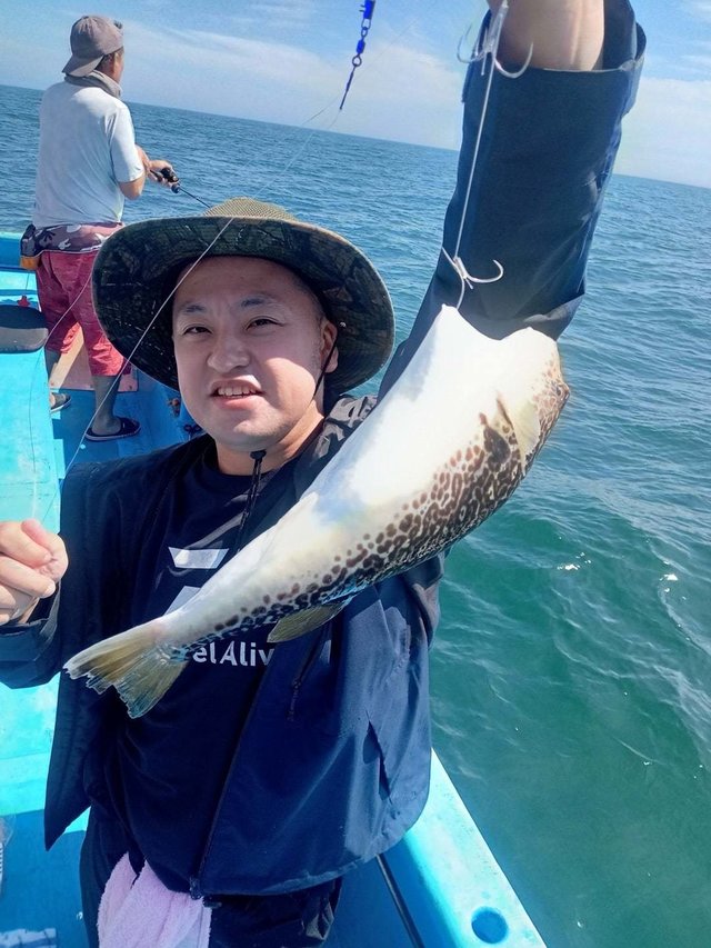 ショウサイフク(ショウサイフグ)