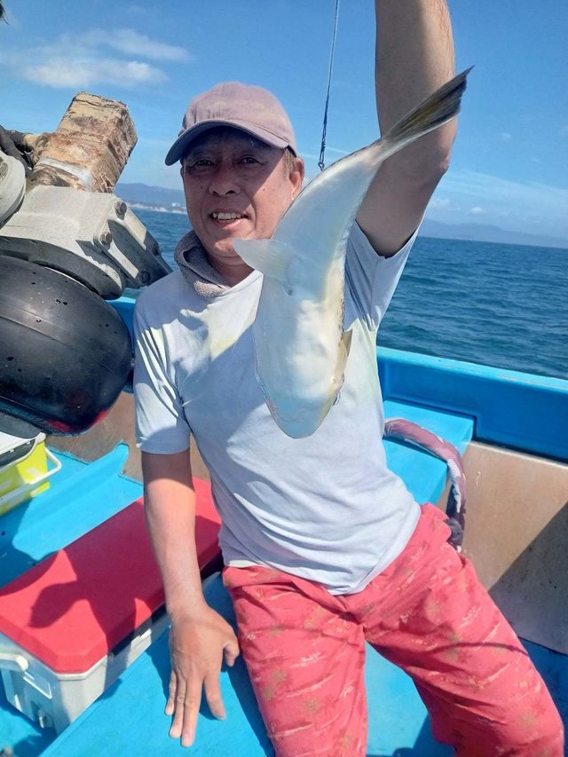 ショウサイフク(ショウサイフグ)