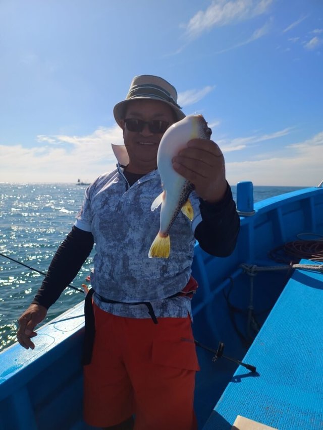 フグ(ショウサイフグ)