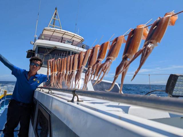 スルメ(スルメイカ)