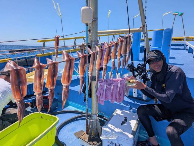 スルメ(スルメイカ)