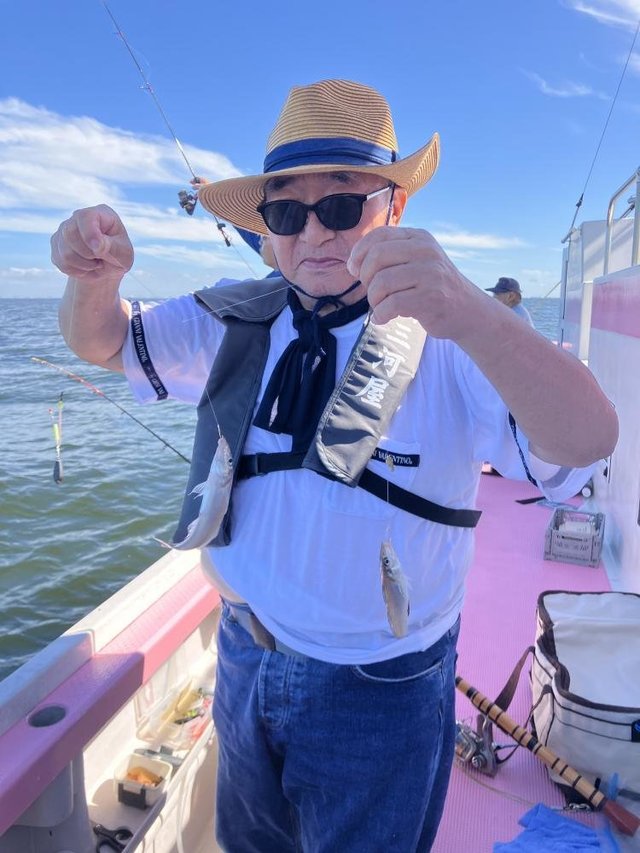 キス(シロギス)