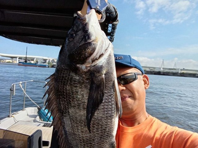 チヌ(クロダイ)