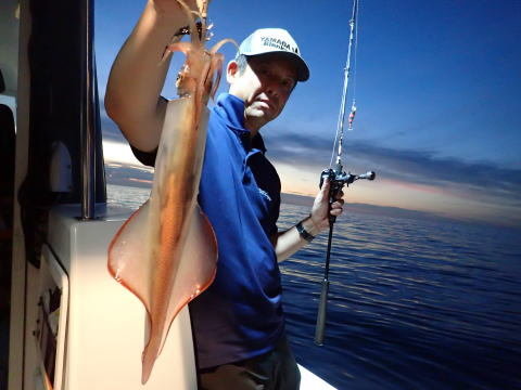 シロイカ(ケンサキイカ)