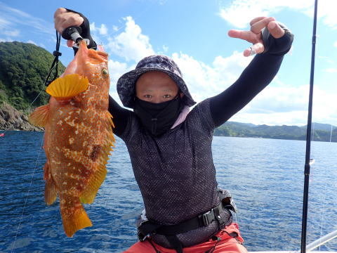 アコウ(キジハタ)