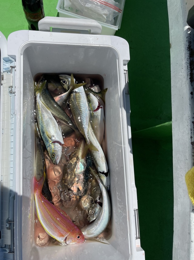 アジ(マアジ)・イトヨリダイ