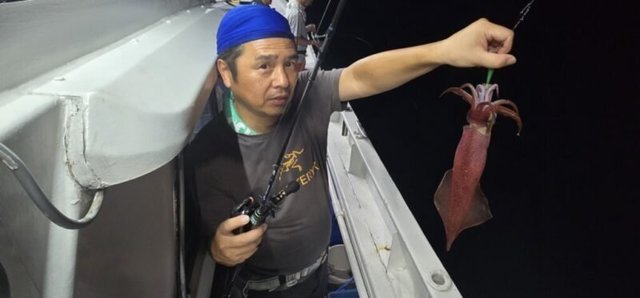 アカイカ(ケンサキイカ)