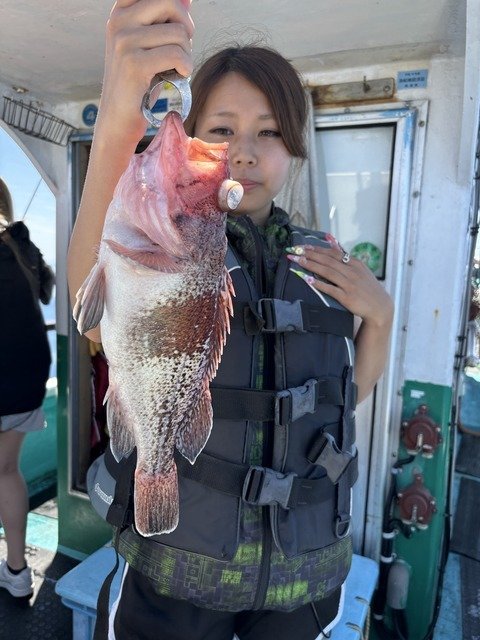 マゾイ(キツネメバル)