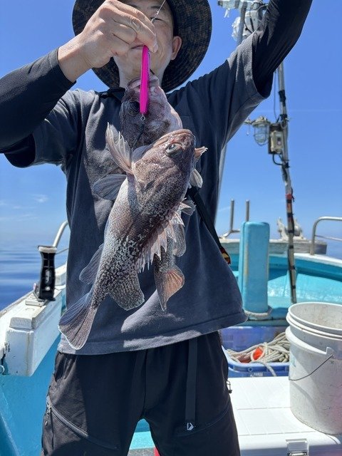 マゾイ(キツネメバル)