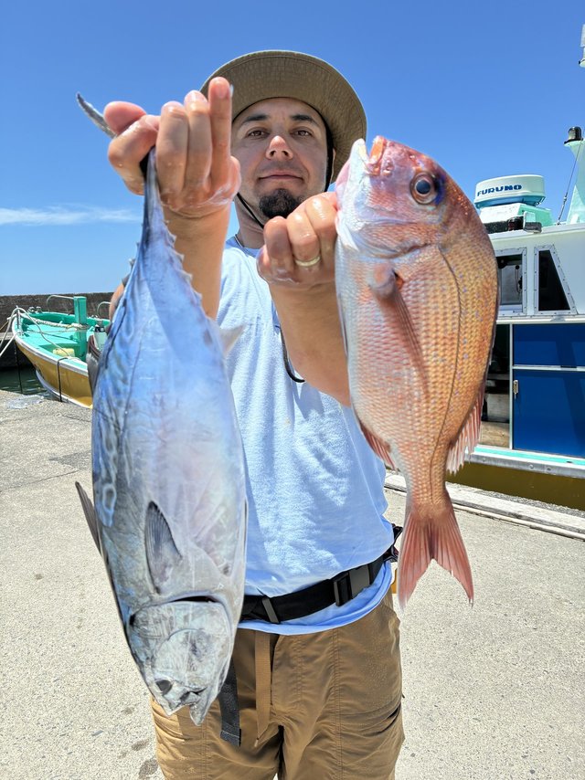 スマガツオ(スマ)