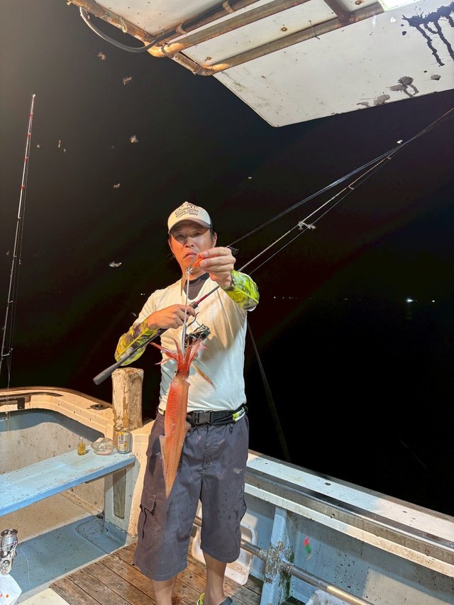 マイカ(ケンサキイカ)