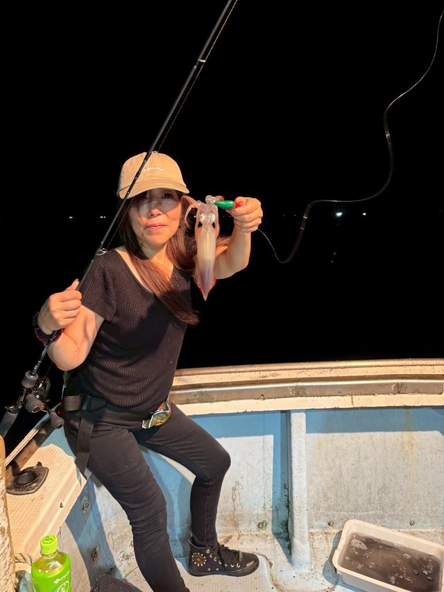 マイカ(ケンサキイカ)