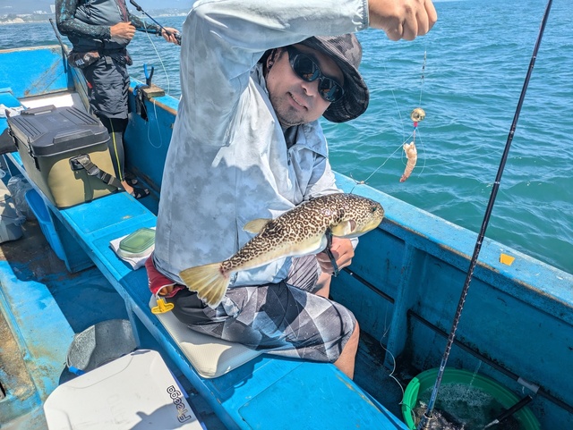 フグ(ショウサイフグ)