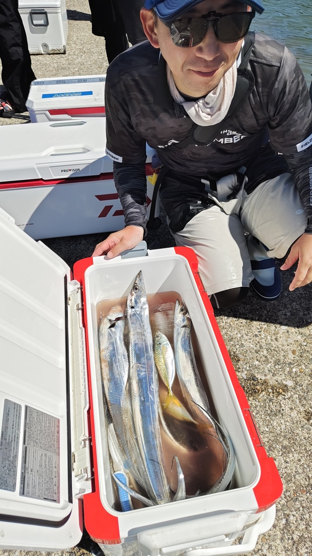 アジ(マアジ)・タチウオ