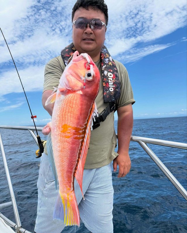 アマダイ(アカアマダイ)