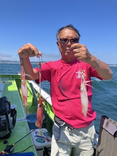 マルイカ(ケンサキイカ)