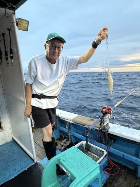 マイカ(ケンサキイカ)