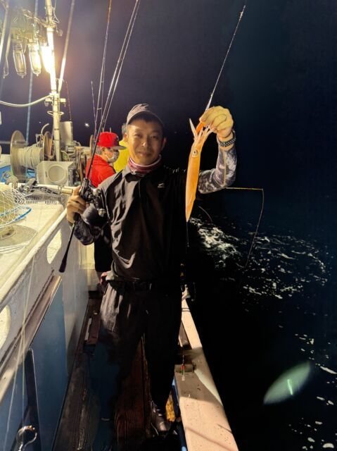 マイカ(ケンサキイカ)