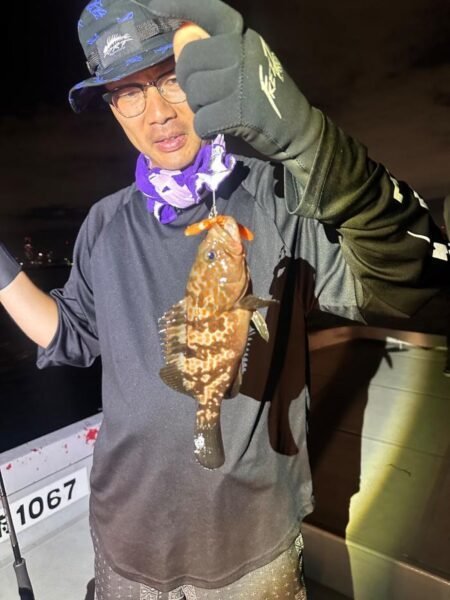 アコウ(キジハタ)