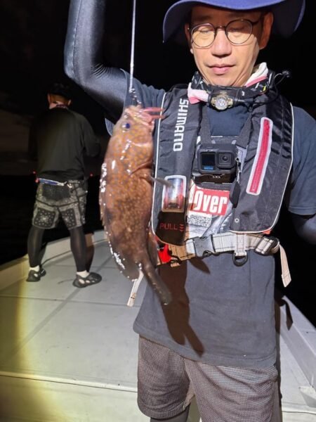 アコウ(キジハタ)