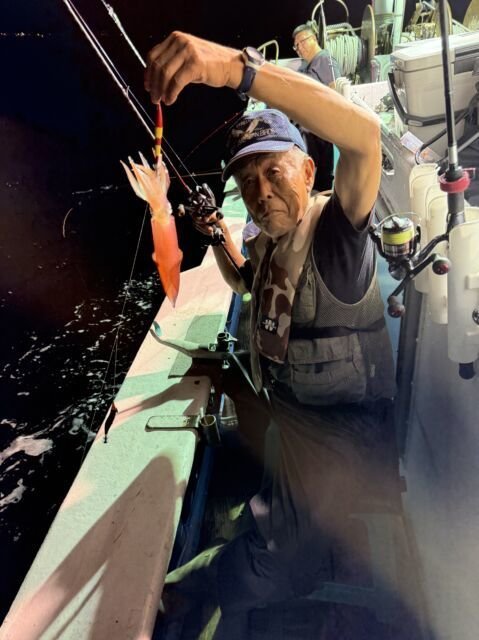 マイカ(ケンサキイカ)