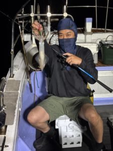 イカ(ケンサキイカ)