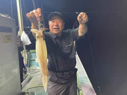 アカイカ(ケンサキイカ)