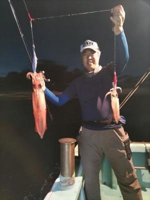 マイカ(ケンサキイカ)