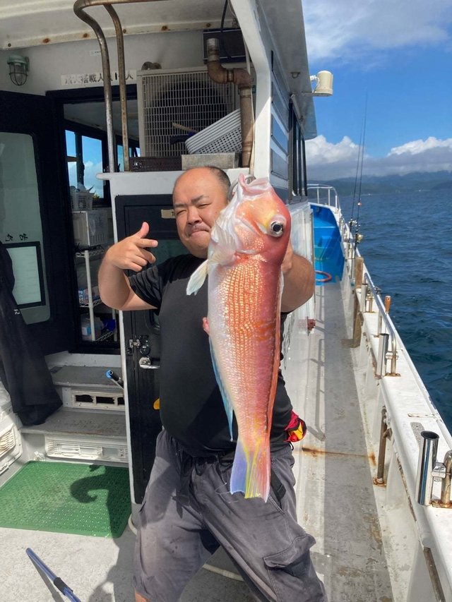 アマダイ(アカアマダイ)