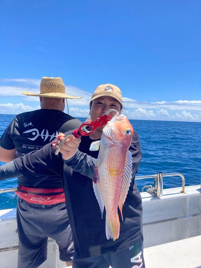 アマダイ(アカアマダイ)