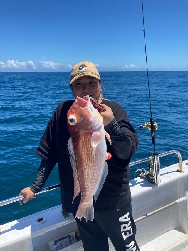 アマダイ(アカアマダイ)