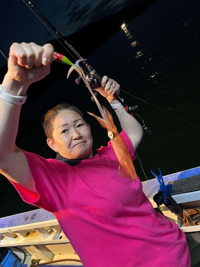 マルイカ(ケンサキイカ)