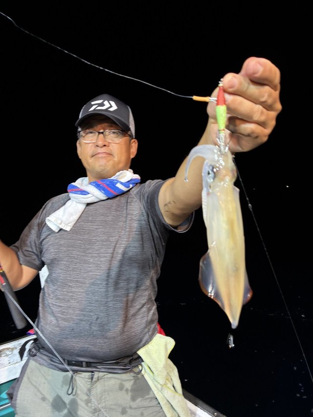 アカイカ(ケンサキイカ)