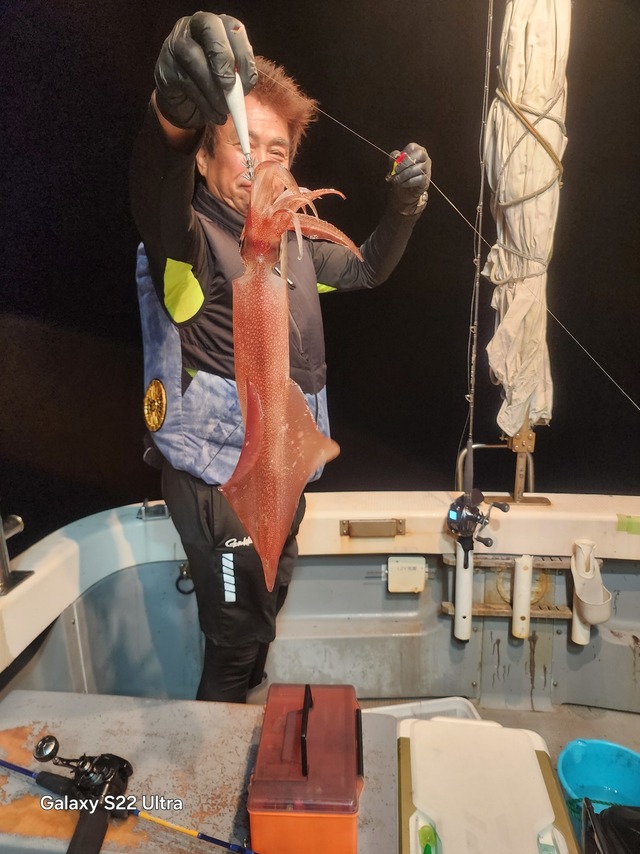 ケンサキ(ケンサキイカ)